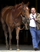http://www.equinephoto-art.com/NewFile/SIGHTSEEK4BTRG.jpg