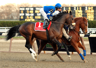 THOROUGHBRED RACING PHOTOS BY EQUINE PHOTO-ART 2010 PAGE