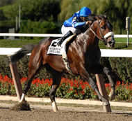 THOROUGHBRED RACING PHOTOS BY EQUINE PHOTO-ART 2010 PAGE