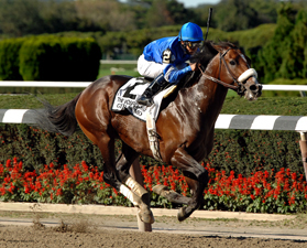THOROUGHBRED RACING PHOTOS BY EQUINE PHOTO-ART 2010 PAGE