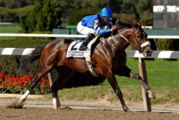 THOROUGHBRED RACING PHOTOS BY EQUINE PHOTO-ART 2010 PAGE