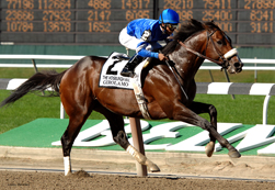 THOROUGHBRED RACING PHOTOS BY EQUINE PHOTO-ART 2010 PAGE
