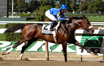 THOROUGHBRED RACING PHOTOS BY EQUINE PHOTO-ART 2010 PAGE